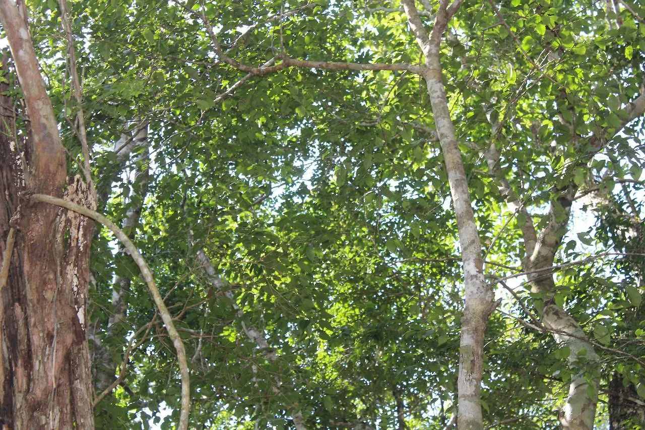 Kemping Stage One Camping Hotel Tulum