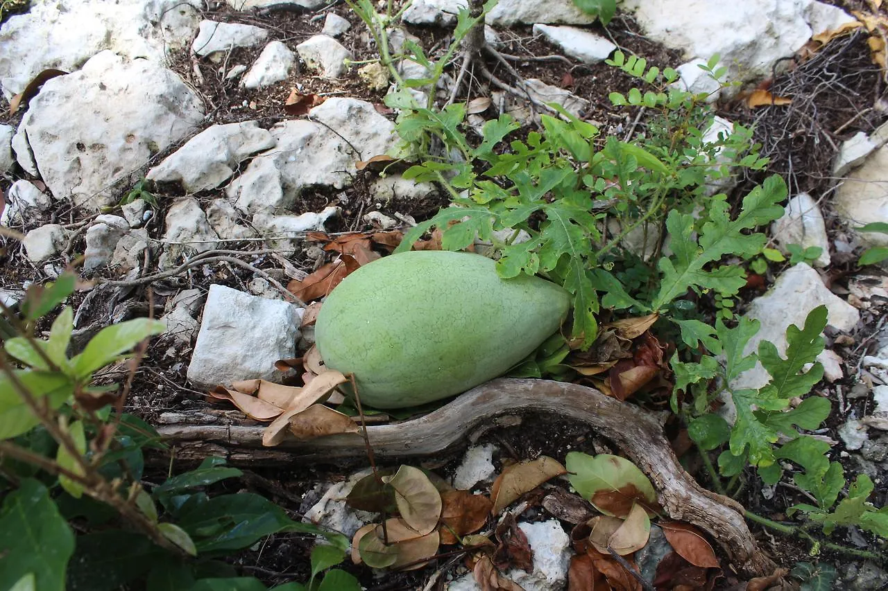 Kemping Stage One Camping Hotel Tulum